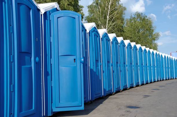 Best Porta potty rental for festivals  in Manitowoc, WI